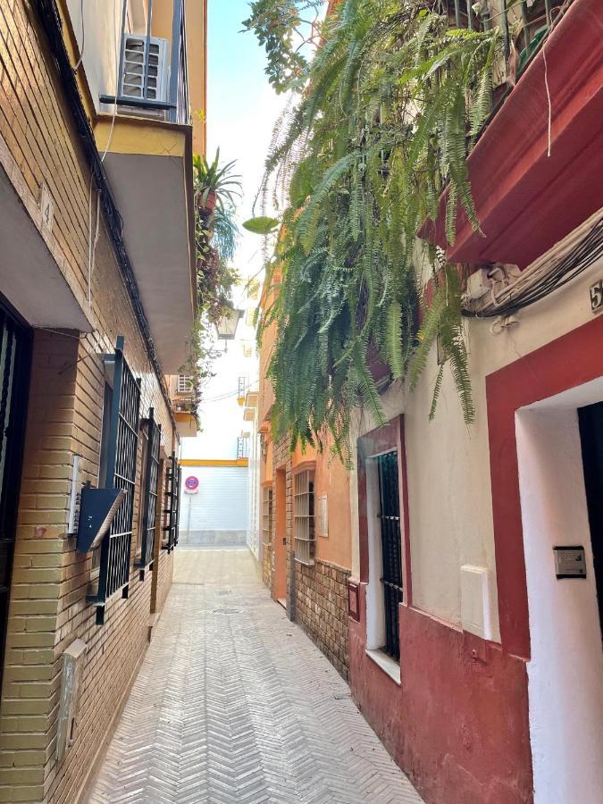 Barrio De Santa Cruz, La Juderia. Zona Inmejorable Apartment Seville Exterior photo